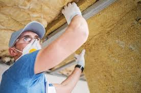 Best Basement Insulation  in Ocklawaha, FL